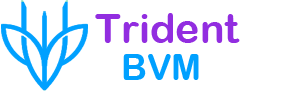 Trident BVM Logo