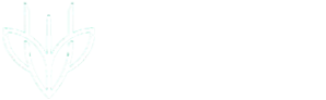 Trident BVM